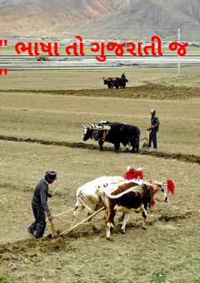 ભાષા તો ગુજરાતીજ