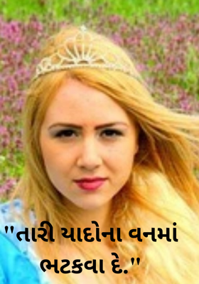 તારી યાદોના વનમાં ભટકવા દે