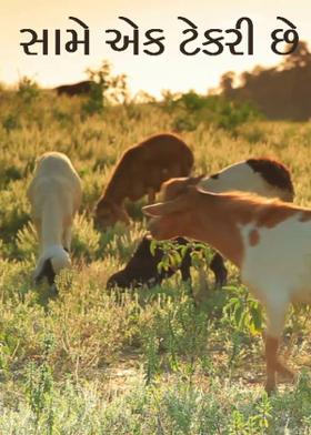 સામે એક ટેકરી છે