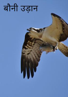 बौनी उड़ान