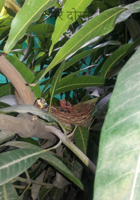 मेरे दोस्त