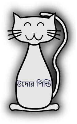 উদোর পিন্ডি