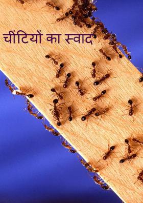 चींटियों का स्वाद