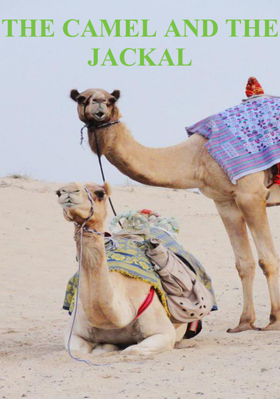 The Camel And The Jackal