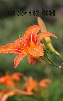 लॉक डाऊन ने धडा शिकवला