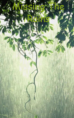 Missing The Rains