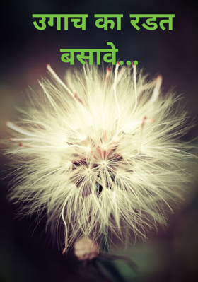 उगाच का रडत बसावे...