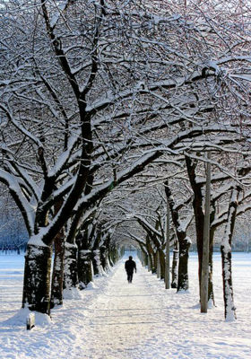 ଶୁଖିଲା ପତ୍ର