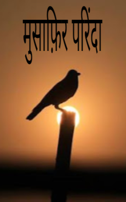 मुसाफ़िर परिंदा