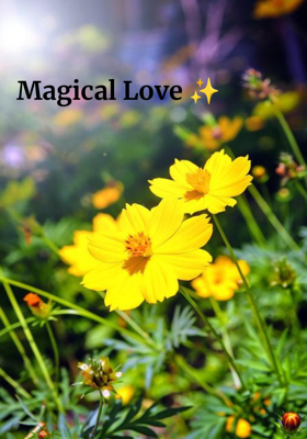 Magical Love ✨