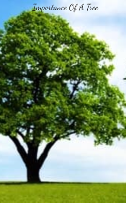 Importance Of A Tree