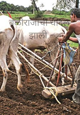 बळीराजाची धांदल झाली