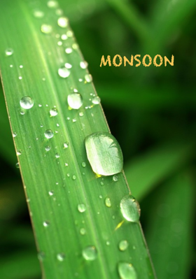 Monsoon