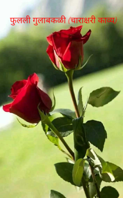 फुलली गुलाबकळी (चाराक्षरी काव्य)