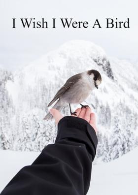 I Wish I Were A Bird