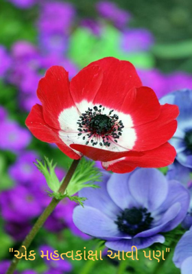 એક મહત્વકાંક્ષા આવી પણ