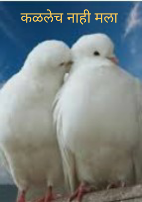 कळलेच नाही मला