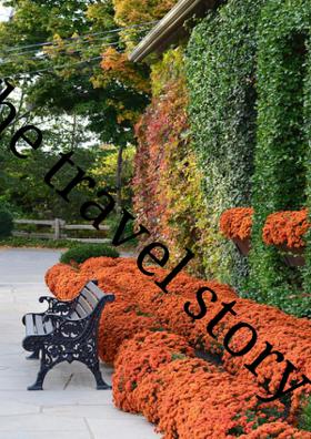 The Travel Story