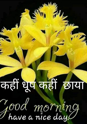 कहीं धूप कहीं  छाया