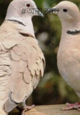 #অন্য স্বাদ