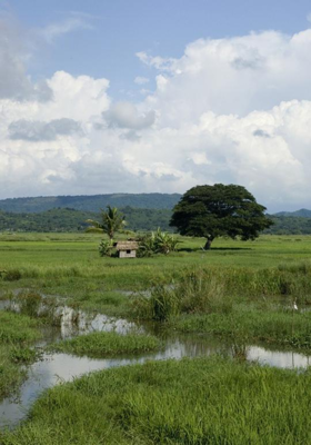 ଅକ୍ଷୟ ତୃତୀୟା 