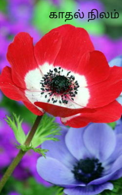 காதல் நிலம்