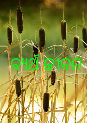 ବ୍ୟର୍ଥ ଜୀବନ