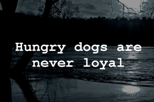 Hungry dogs are never loyal