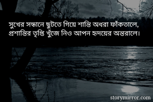 সুখের সন্ধানে...