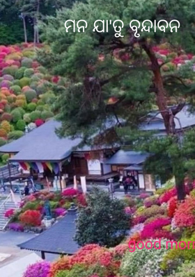 ମନ ଯା'ତୁ ବୃନ୍ଦାବନ