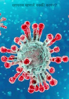 व्हायरस म्हणजे नक्की काय??