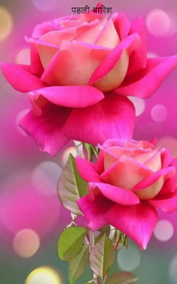 पहली बारिश