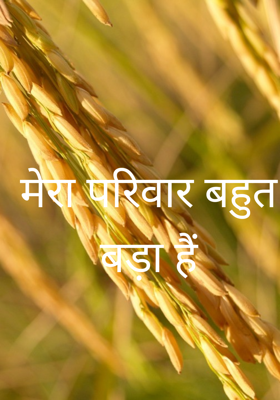 मेरा परिवार बहुत बड़ा हैं