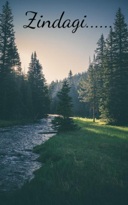 Zindagi......