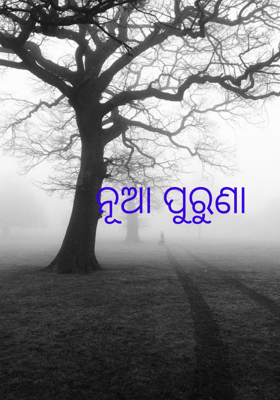 ନୂଆ ପୁରୁଣା