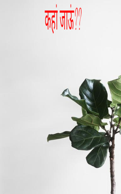 कहां जाऊं??