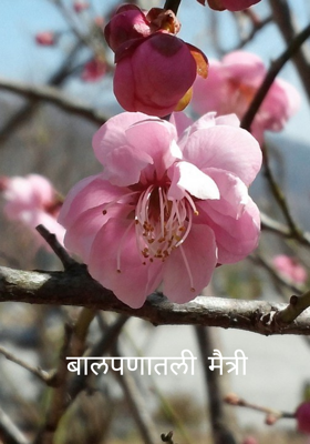 बालपणातली मैत्री