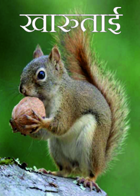 खारुताई