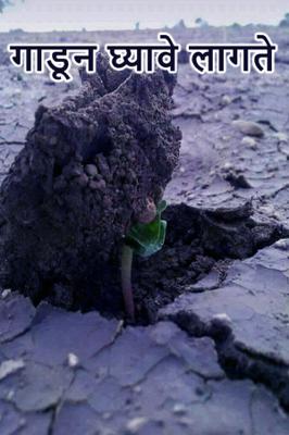 गाडून घ्यावे लागते