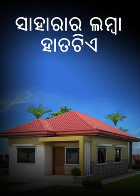 ସାହାରାର ଲମ୍ବା ହାତଟିଏ