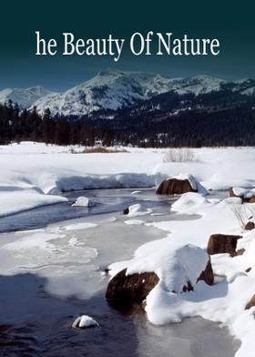 The Beauty Of Nature