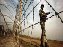 सरहदें (गुलाबी पंख की परवाज़ तारी)