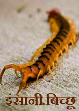 इंसानी बिच्छू