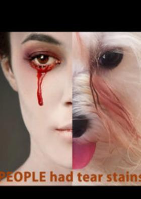 ଜୀବନ ଗୀତା-୩୭୭