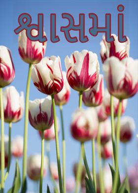 શ્વાસમાં