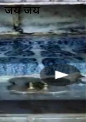 जय जय गुरुदेव