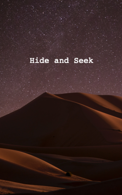Hide and Seek