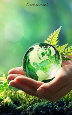 Environment
