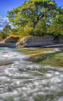 பெரிய புராணம்
