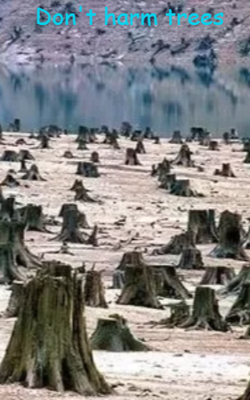 Don't harm trees